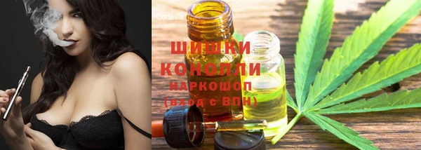 гидропоника Вяземский