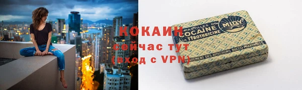гашик Вязники
