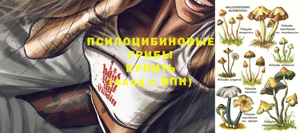 гашик Вязники