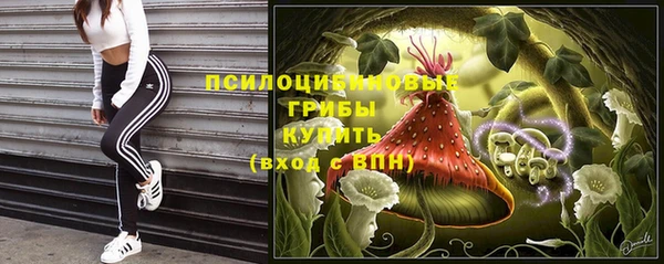 СК Вязьма