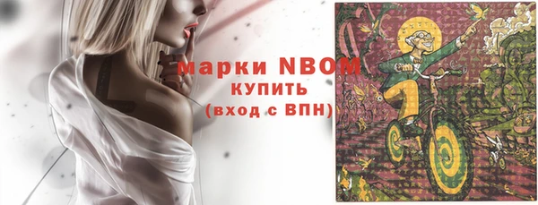 гашик Вязники