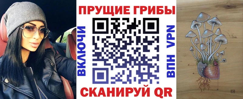 Галлюциногенные грибы Psilocybe Балашиха