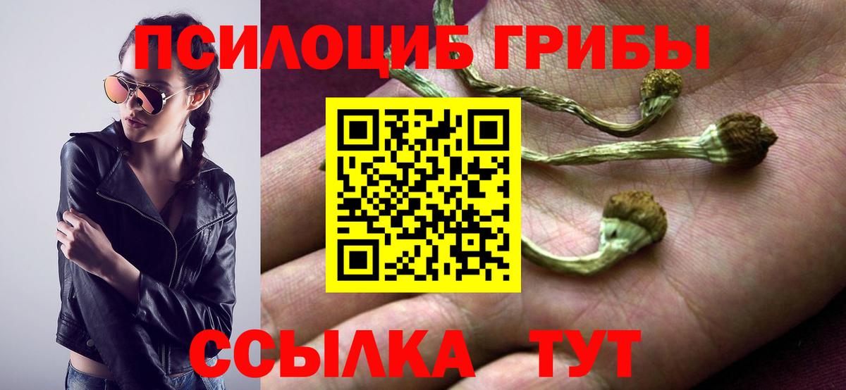 Псилоцибиновые грибы прущие грибы Балашиха