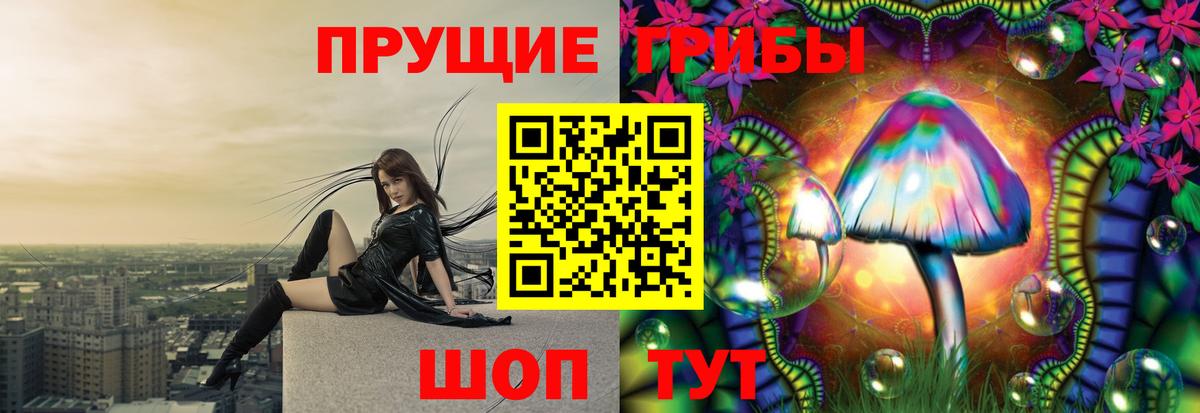 Балашиха  Галлюциногенные грибы Cubensis  Вход с VPN 
